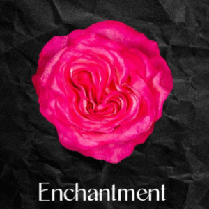 100 Enchantment